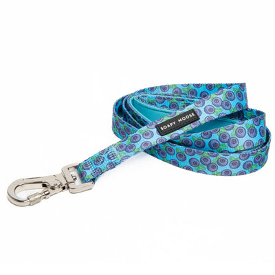 Blueberries Leash