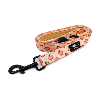 Peaches & Cream | Leash - Peticular