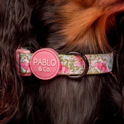Flora and Fern | Dog Collar