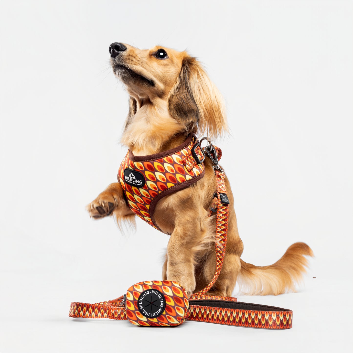 Sandy Flames Dog Harness