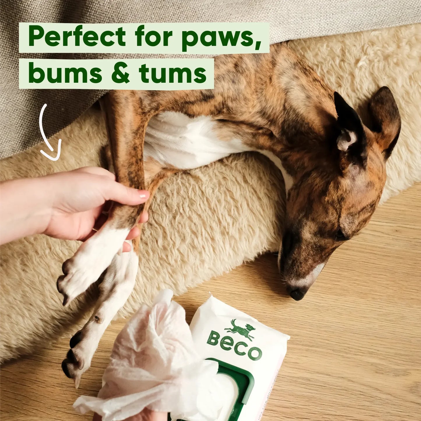 Bamboo Dog Wipes | Unscented