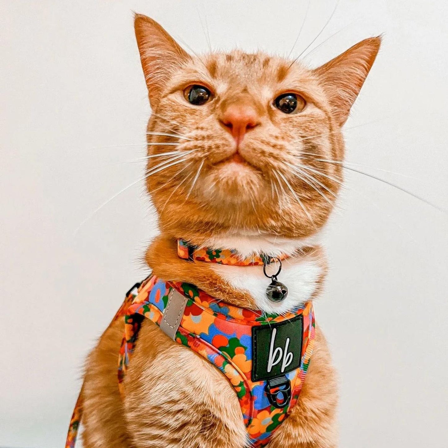 Austin Flowers Cat Collar