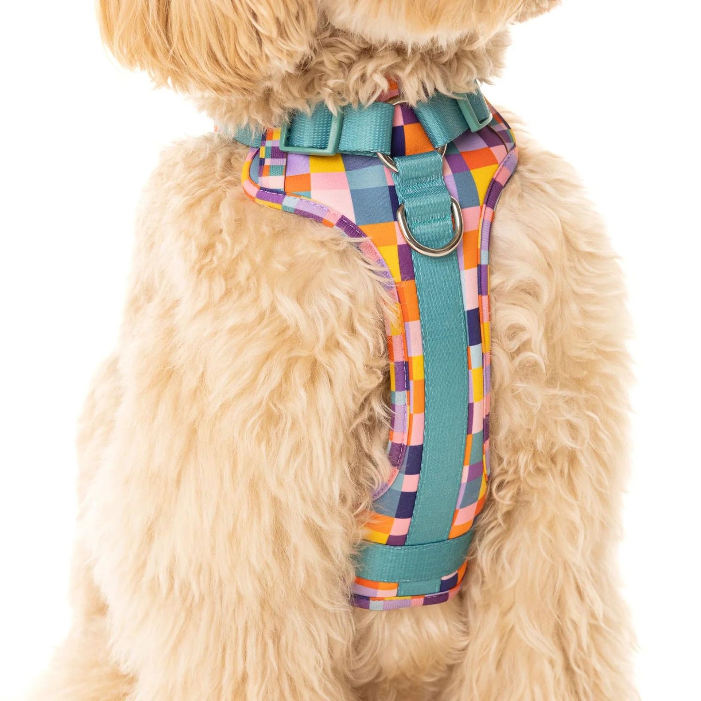 Dream In Colour Dog Adventure Harness