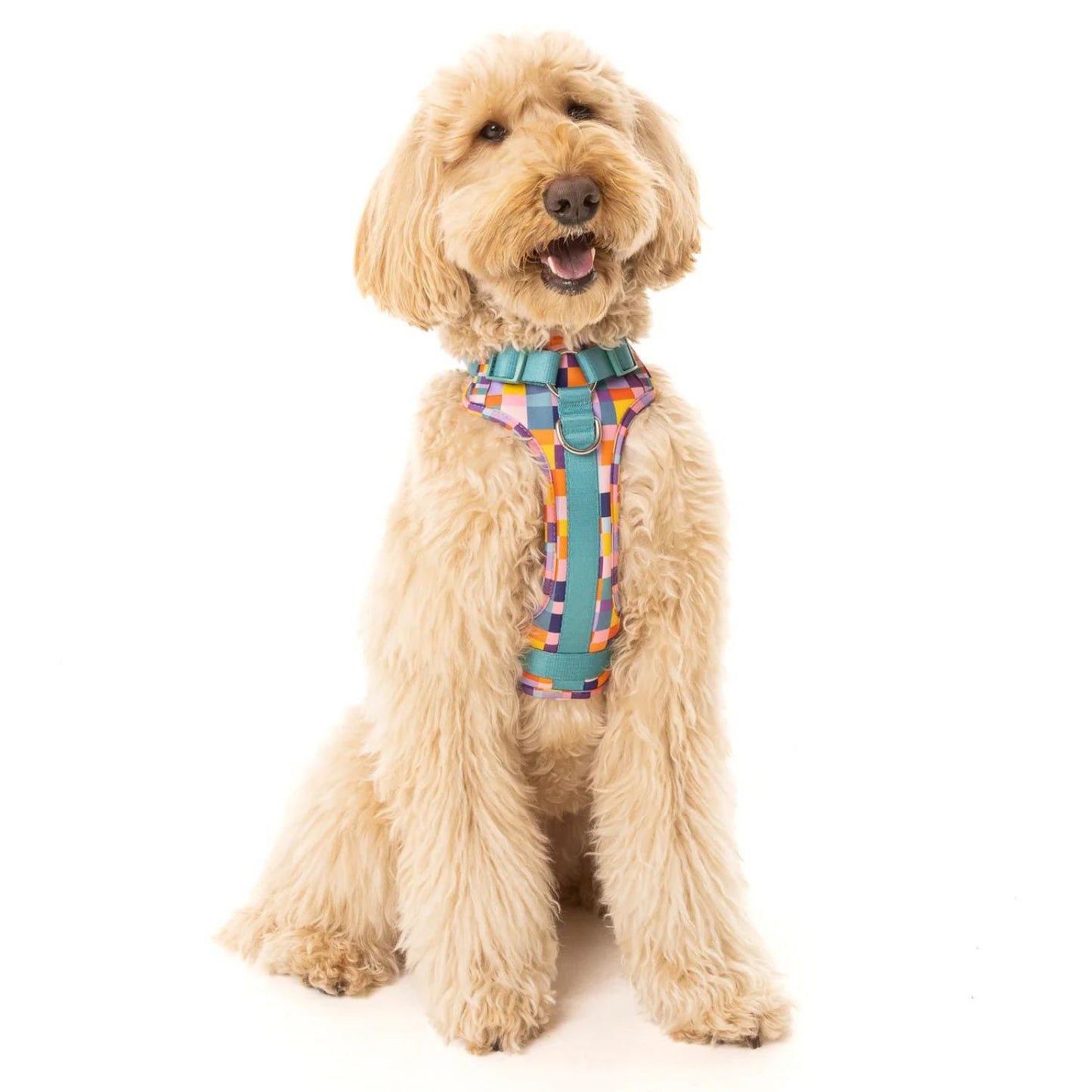 Dream In Colour Dog Adventure Harness