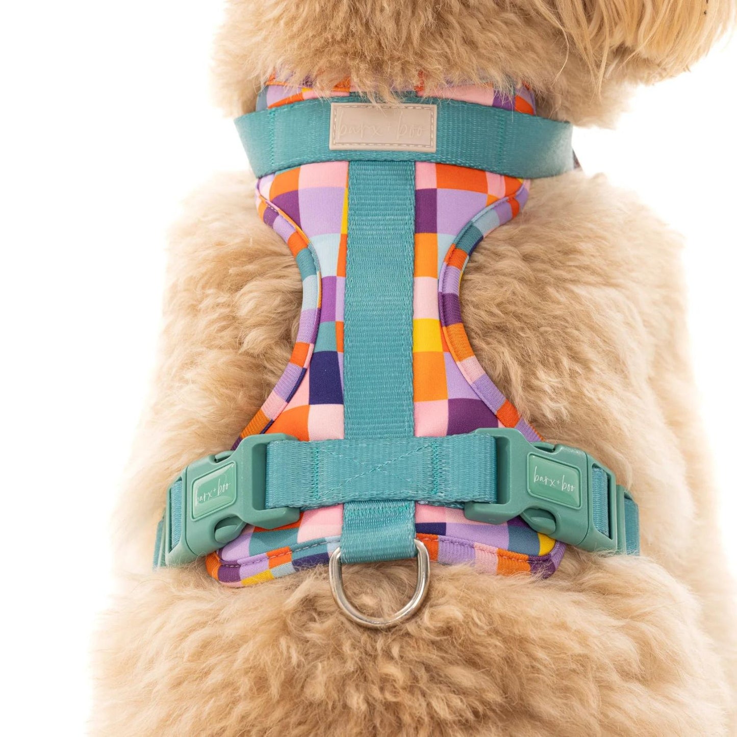 Dream In Colour Dog Adventure Harness