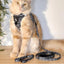 Licorice Cat Leash