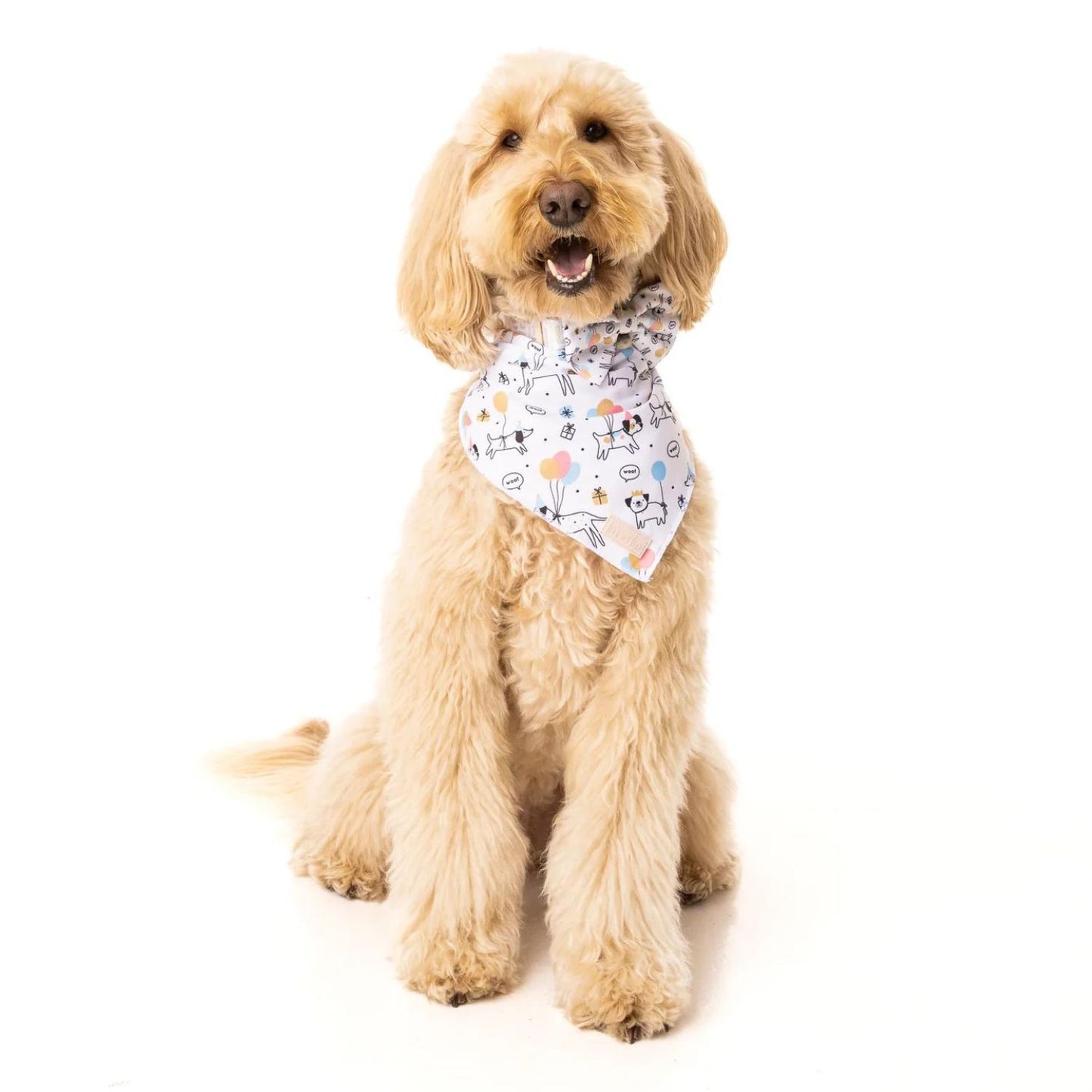 Woof Birthday | Tie-Up Bandana