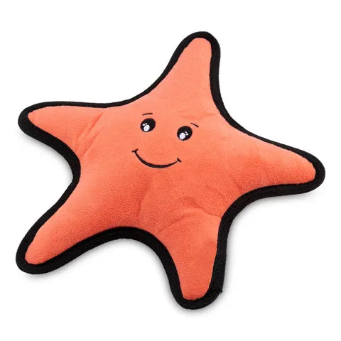 Sindy the Starfish