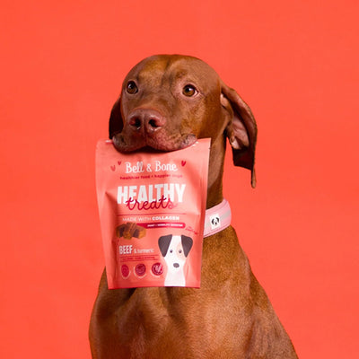 Healthy Dog Treats: Joint & Mobility Booster | Beef & Turmeric