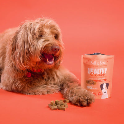 Healthy Dog Treats: Weight & Energy Support | Duck & Fibre