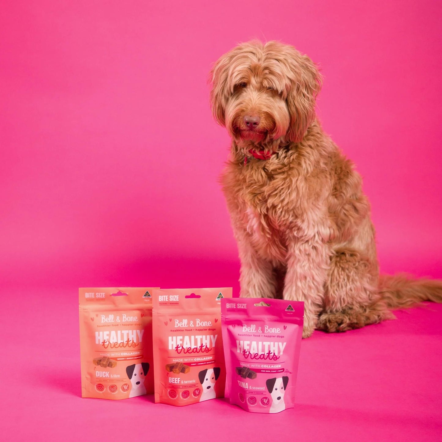 Healthy Dog Treats: Skin, Coat & Nails | Tuna & Seaweed