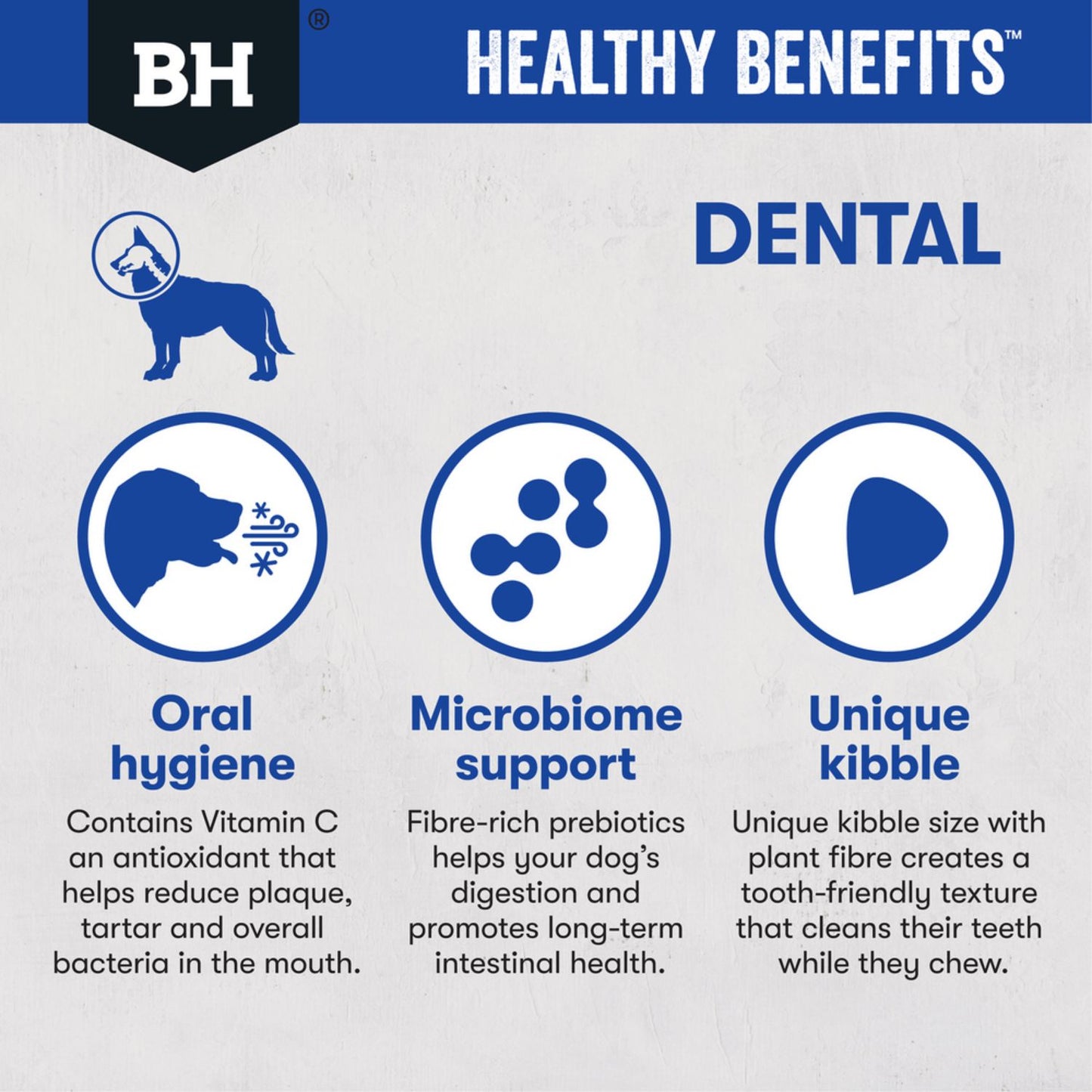 Healthy Benefits Adult Dog Food | Dental