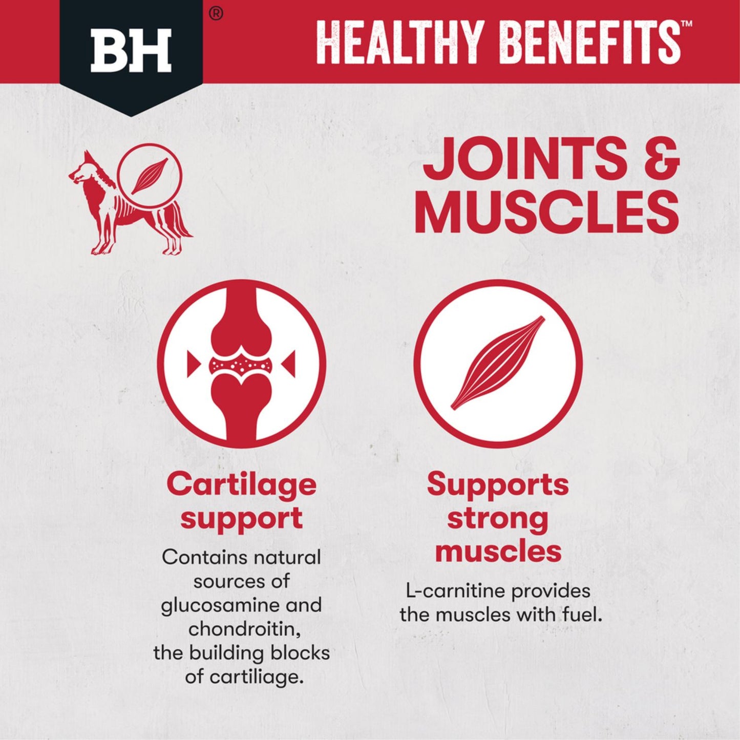 Healthy Benefits Adult Dog Food | Joints & Muscles