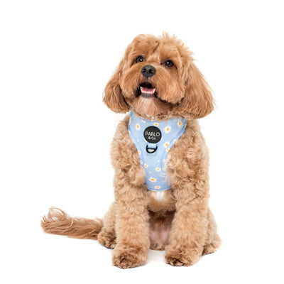 Blue Daisy | Adjustable Dog Harness