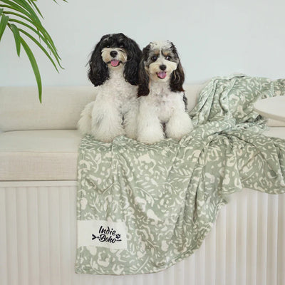 Designer Pet Blanket | Neutral Brushtrokes
