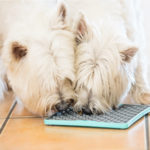 LickiMat | TUFF Buddy