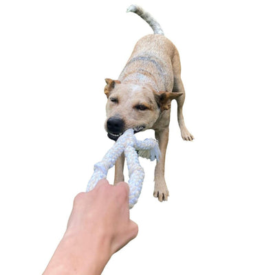 Lots O' Nots Rope Dog Toy