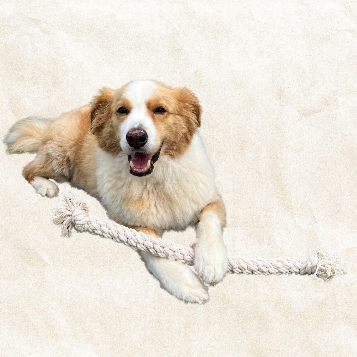Mega Rope Dog Toy