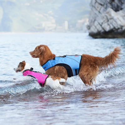 EZYDOG DFD X2 BOOST (Dog Flotation Device)
