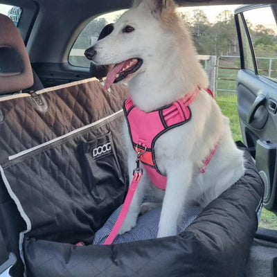 Dog Car Seat Black| Large