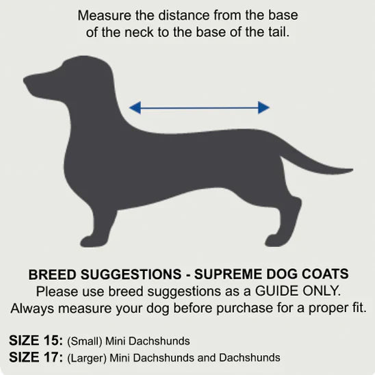 Dachshund Dog Coat | Purple/Blue