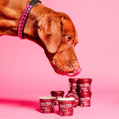 Rocky Road Dog Yog Ice Cream