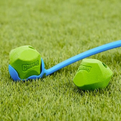 Erractic Balls | 2 Pack - Peticular