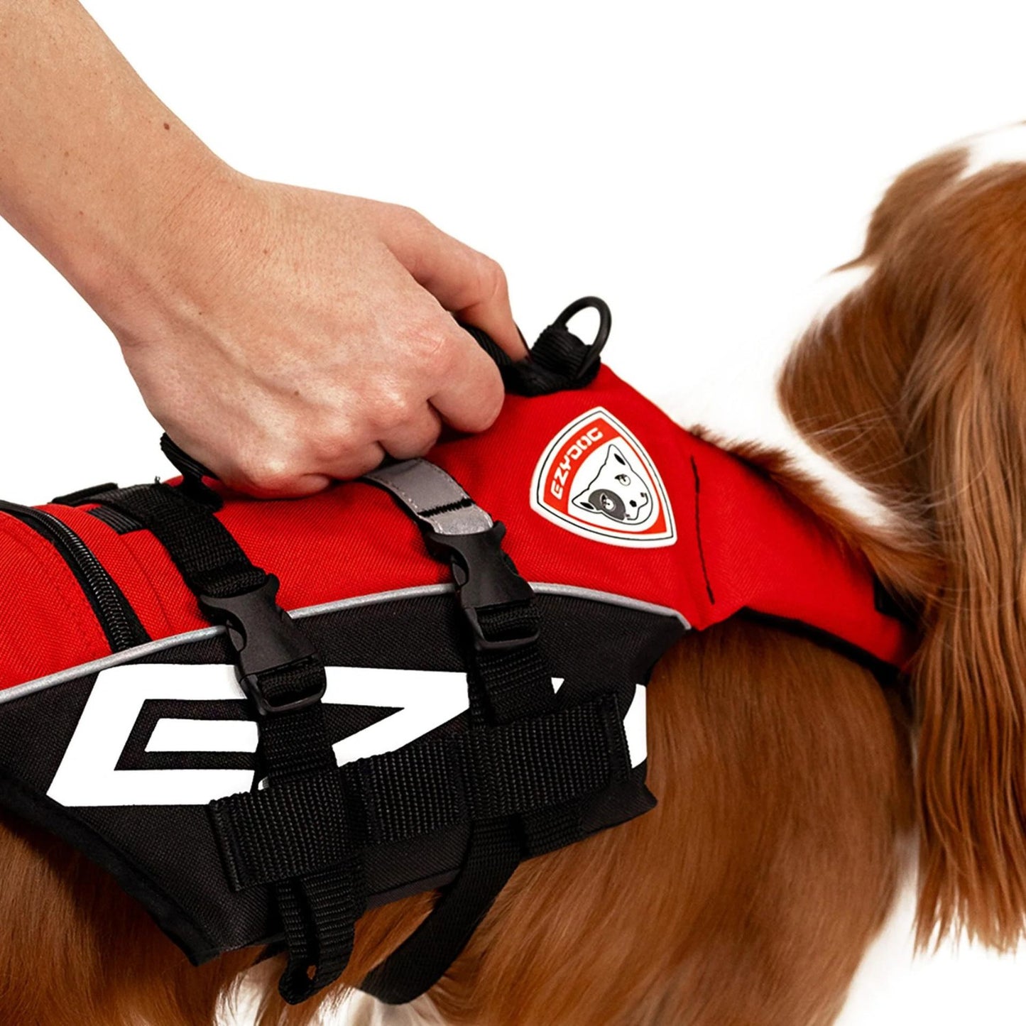 DFD Micro (Dog Flotation Device)