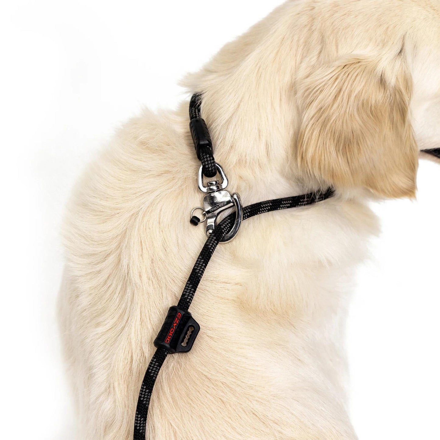 Marine Rope Leash | Black