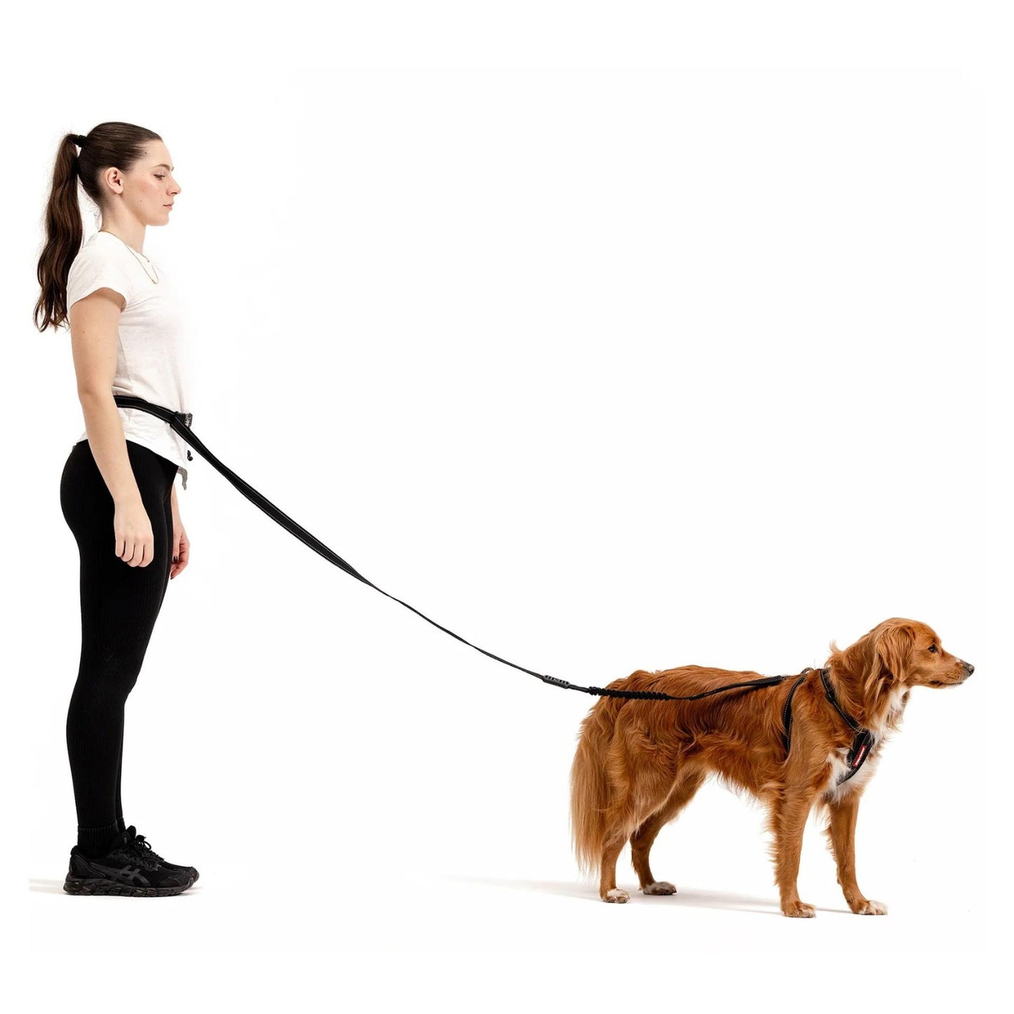 Road Runner Dog Leash