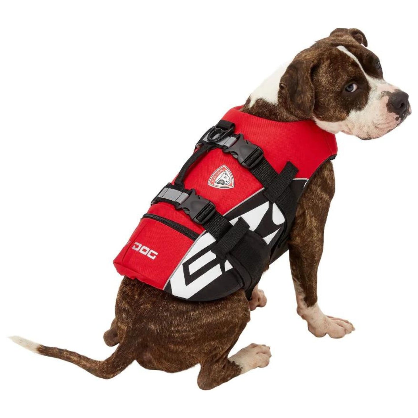 DFD (Dog Flotation Device)