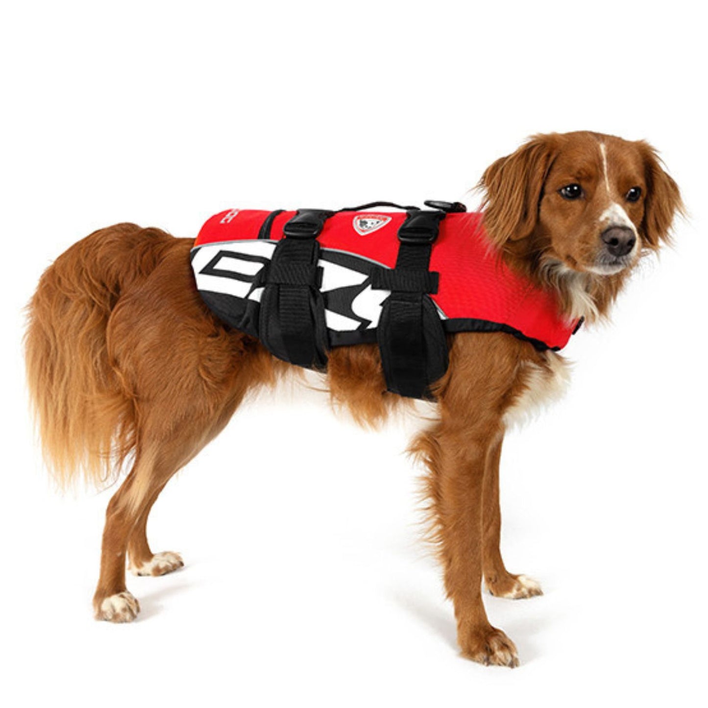 DFD (Dog Flotation Device)