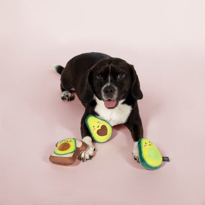 Lets get avo control | 3 Pack mini avocado toy set