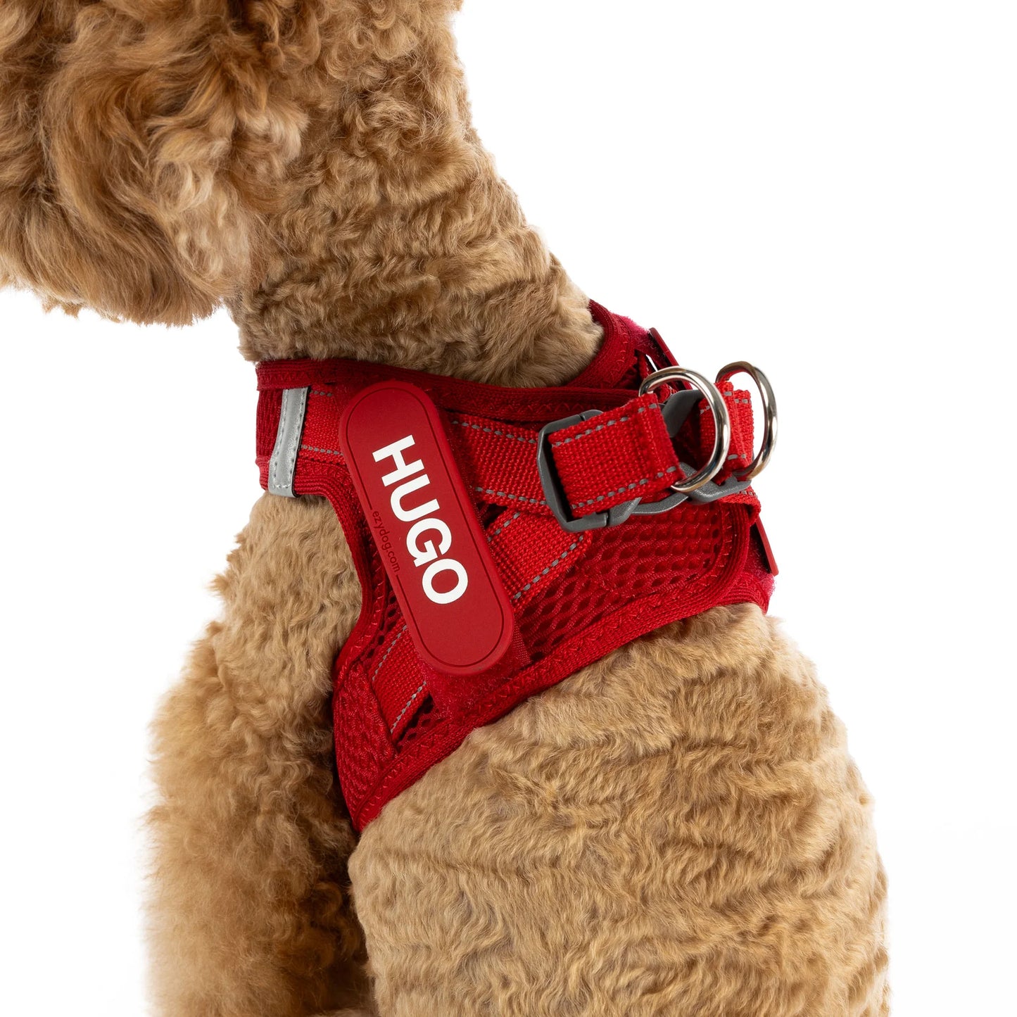 Formfit Mesh Harness