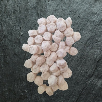 Freeze Dried Treats | Crocodile Bites