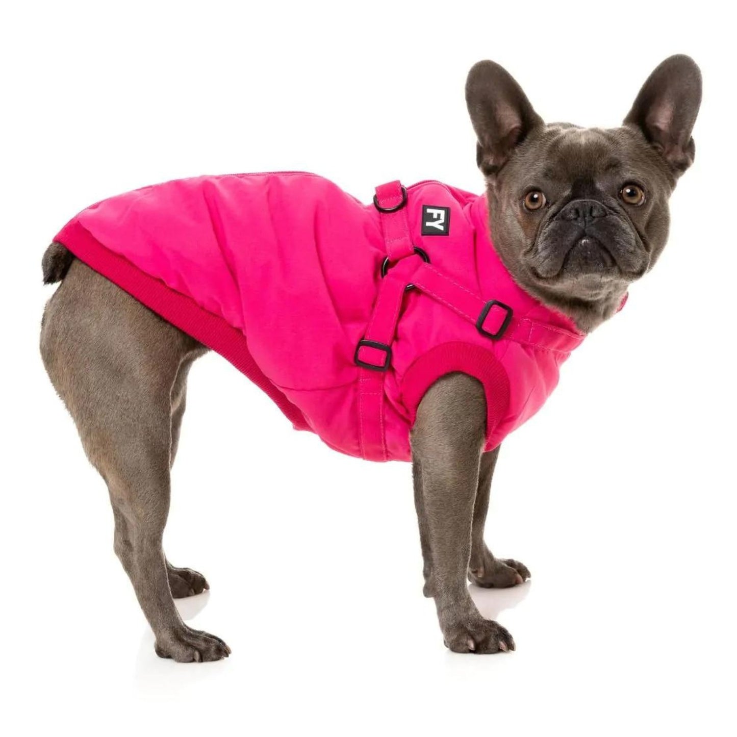 Flash Harness Dog Jacket | Magenta