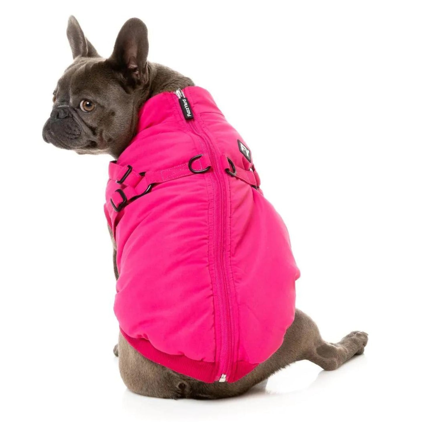 Flash Harness Dog Jacket | Magenta