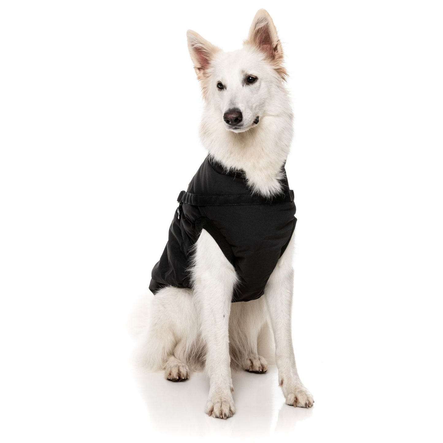 Flash Harness Dog Jacket | Black