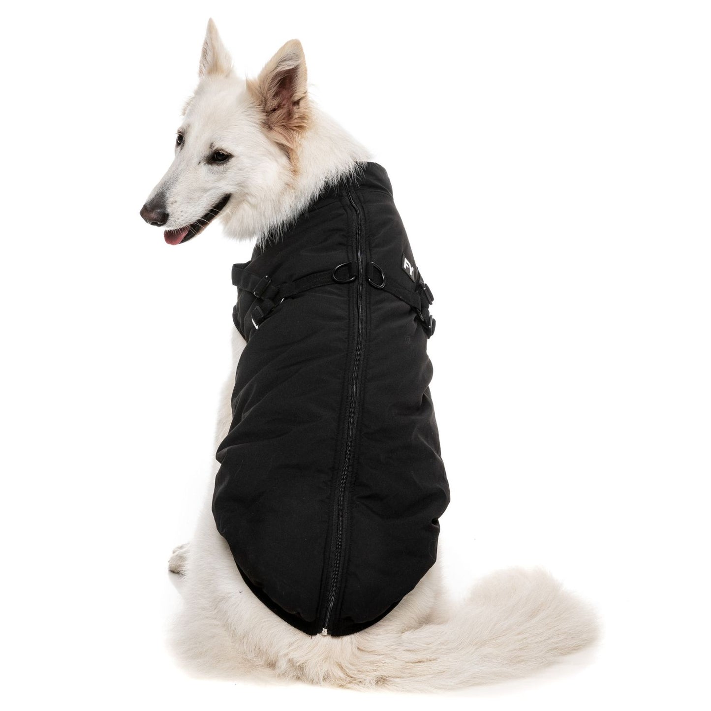 Flash Harness Dog Jacket | Black