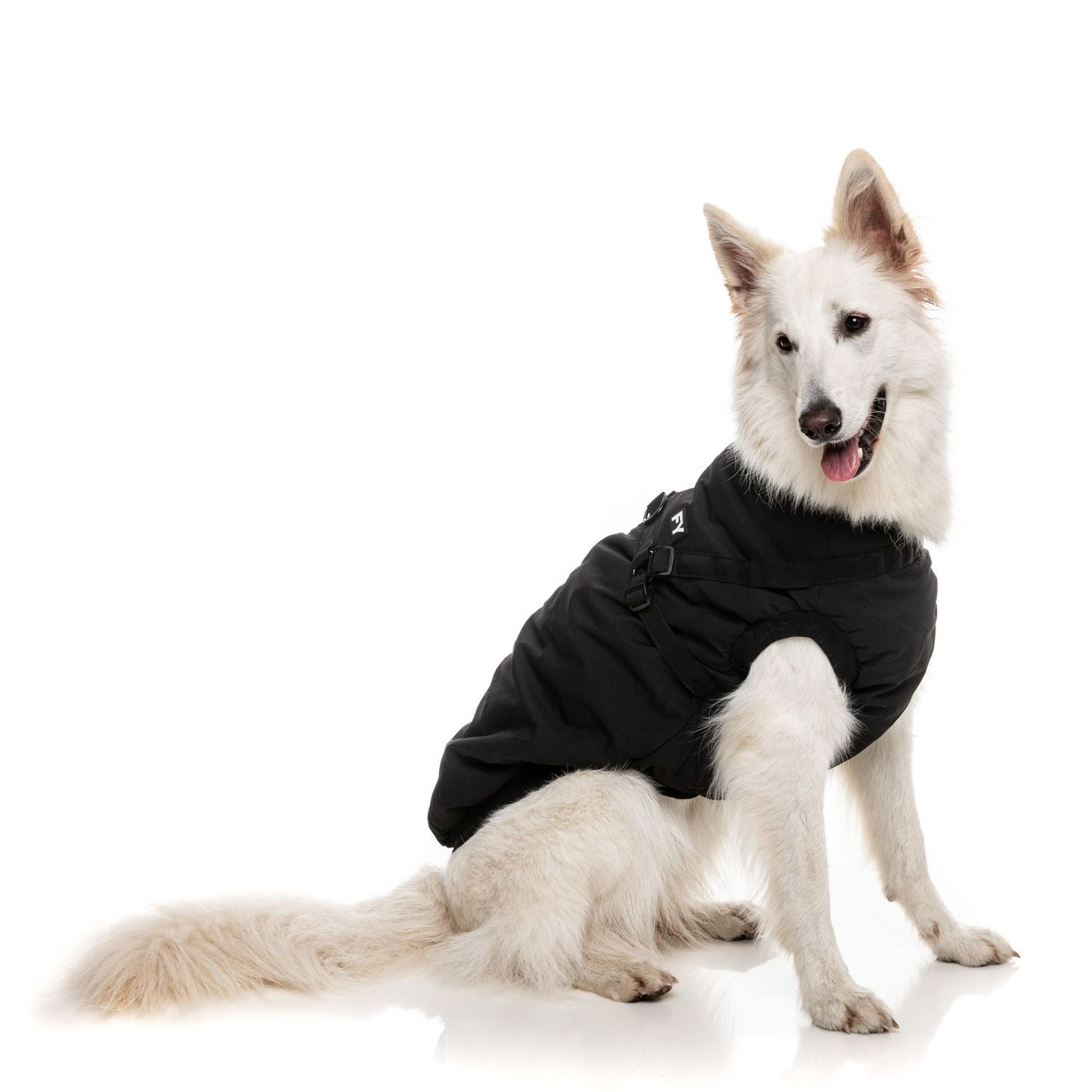 Flash Harness Dog Jacket | Black