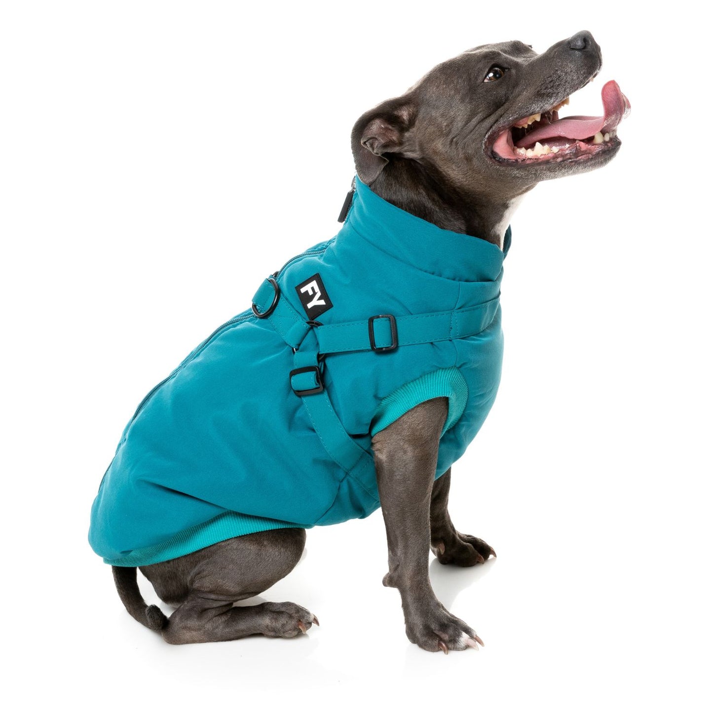 Flash Harness Dog Jacket | Dark Teal