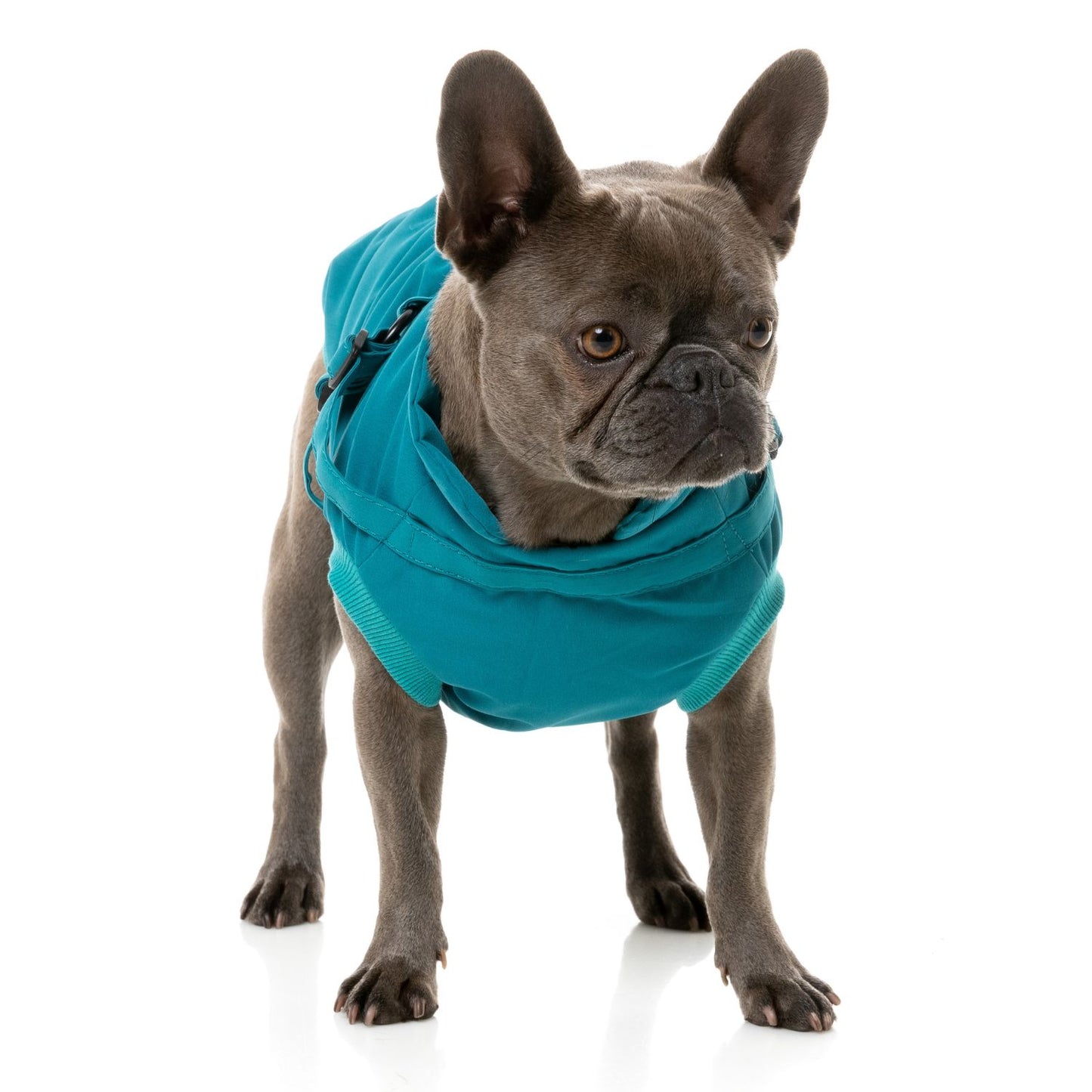 Flash Harness Dog Jacket | Dark Teal