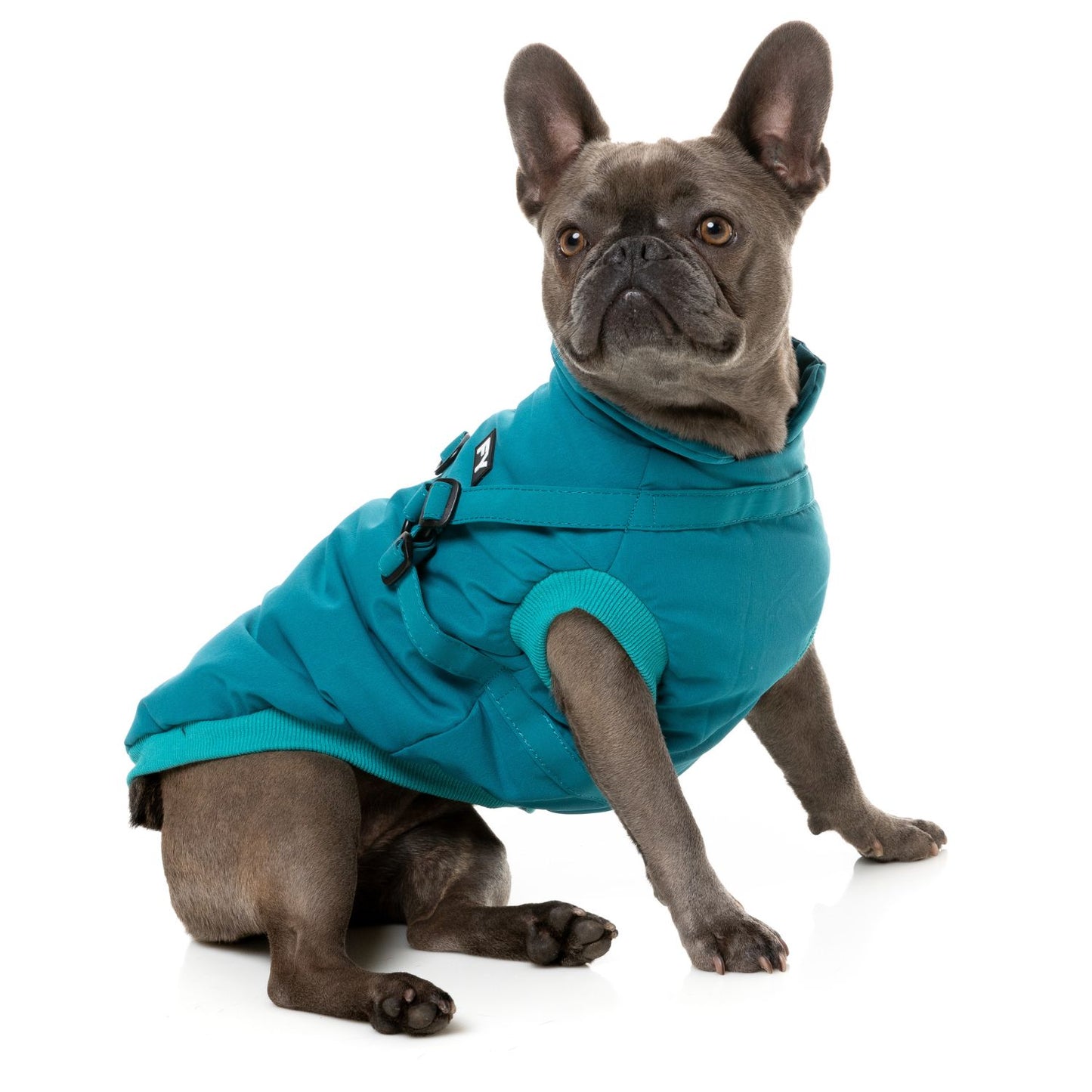 Flash Harness Dog Jacket | Dark Teal