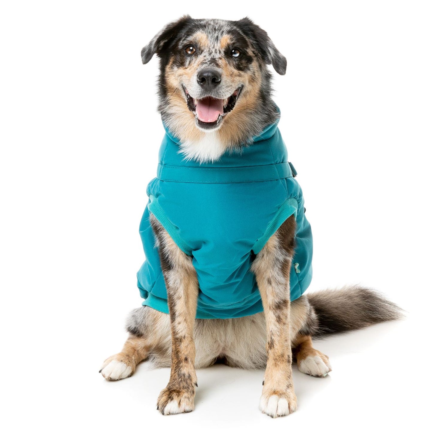 Flash Harness Dog Jacket | Dark Teal