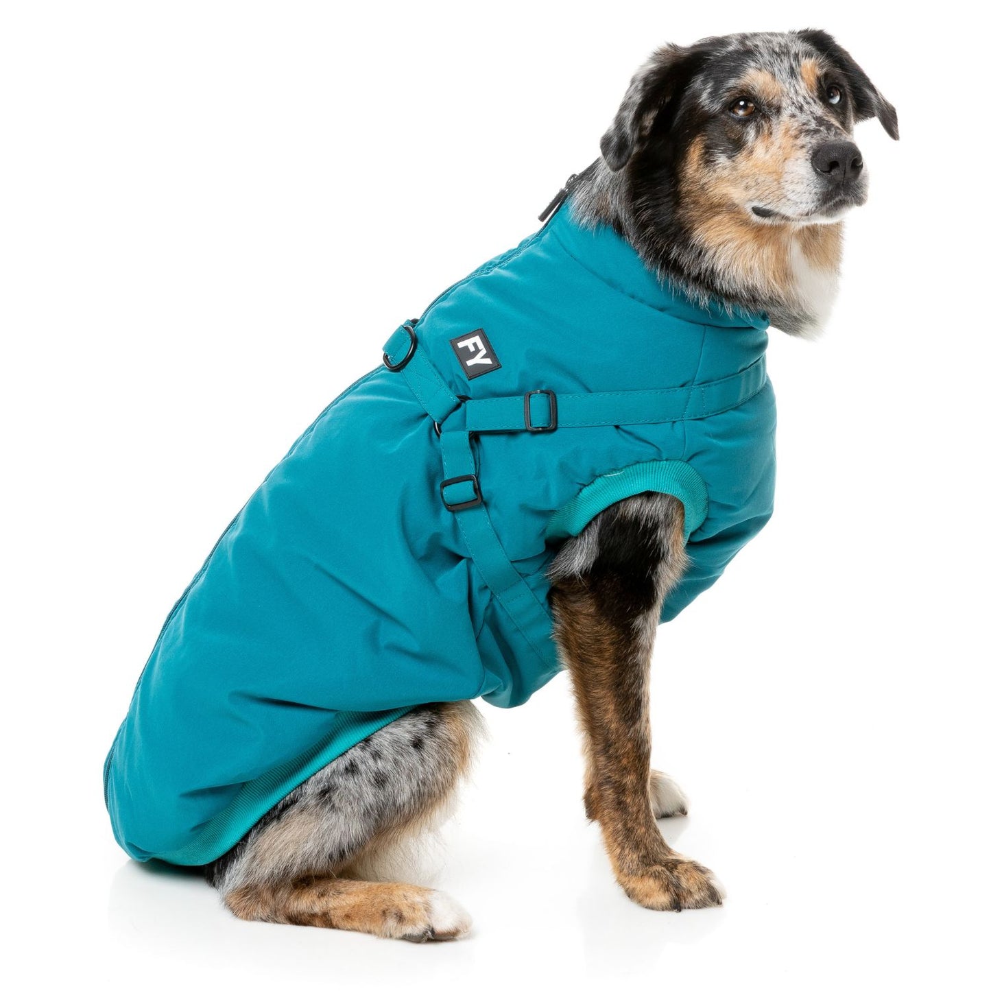 Flash Harness Dog Jacket | Dark Teal