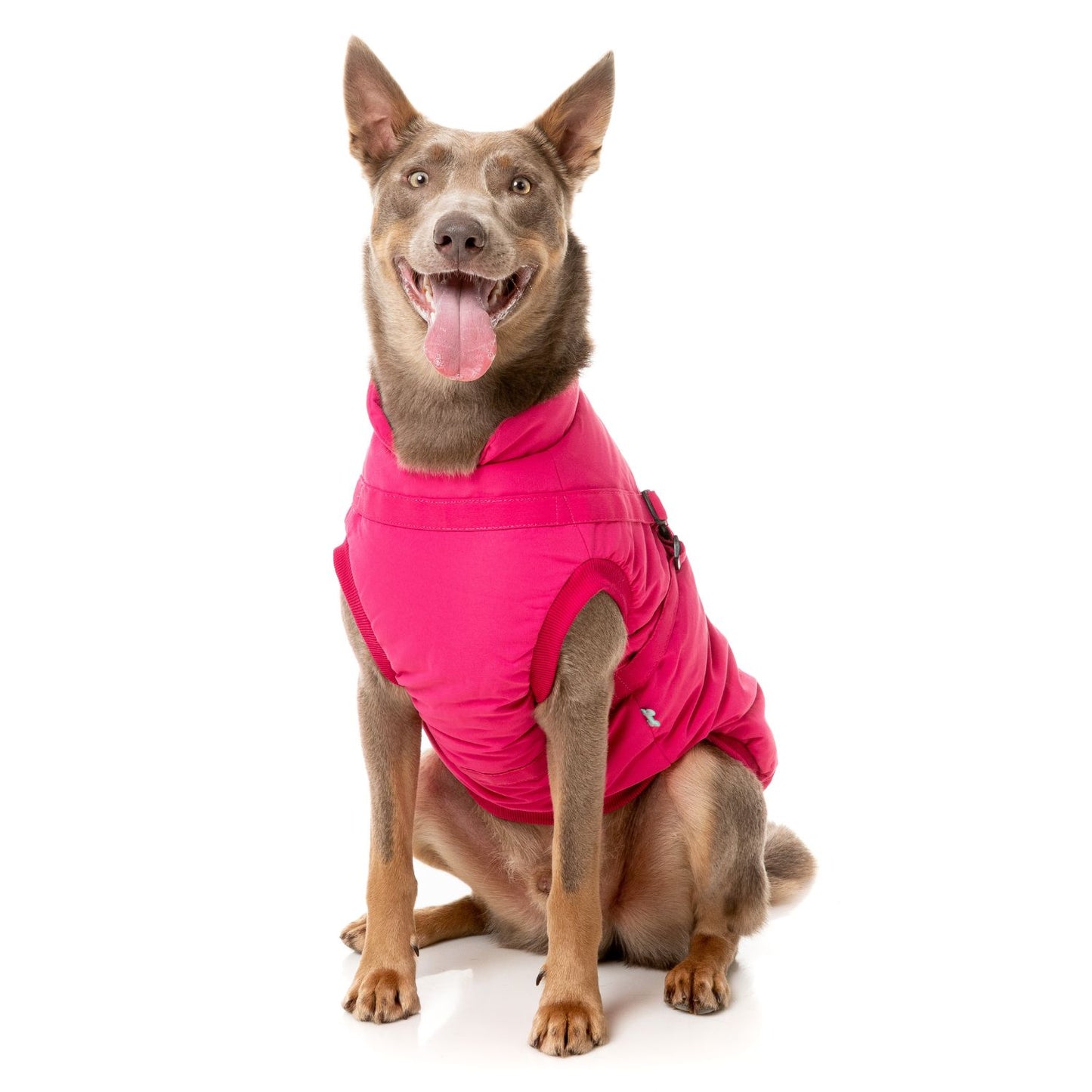 Flash Harness Dog Jacket | Magenta