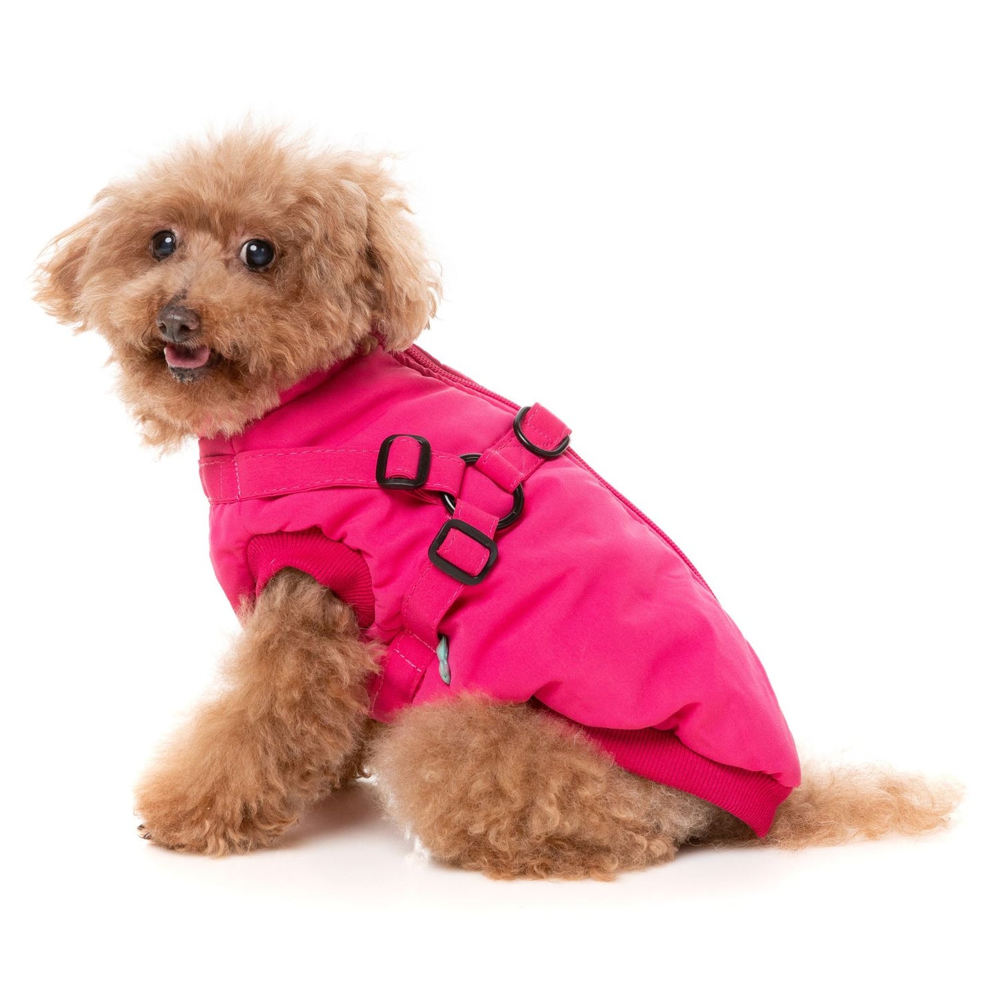 Flash Harness Dog Jacket | Magenta