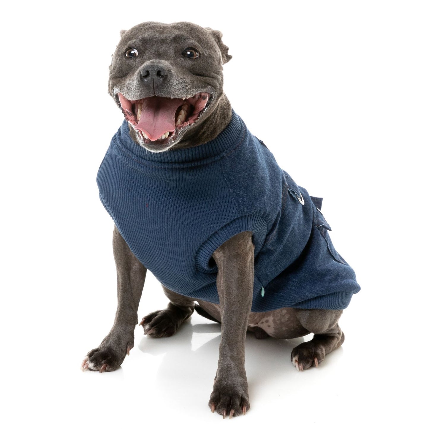 Kojima Blue Denim Dog Jacket