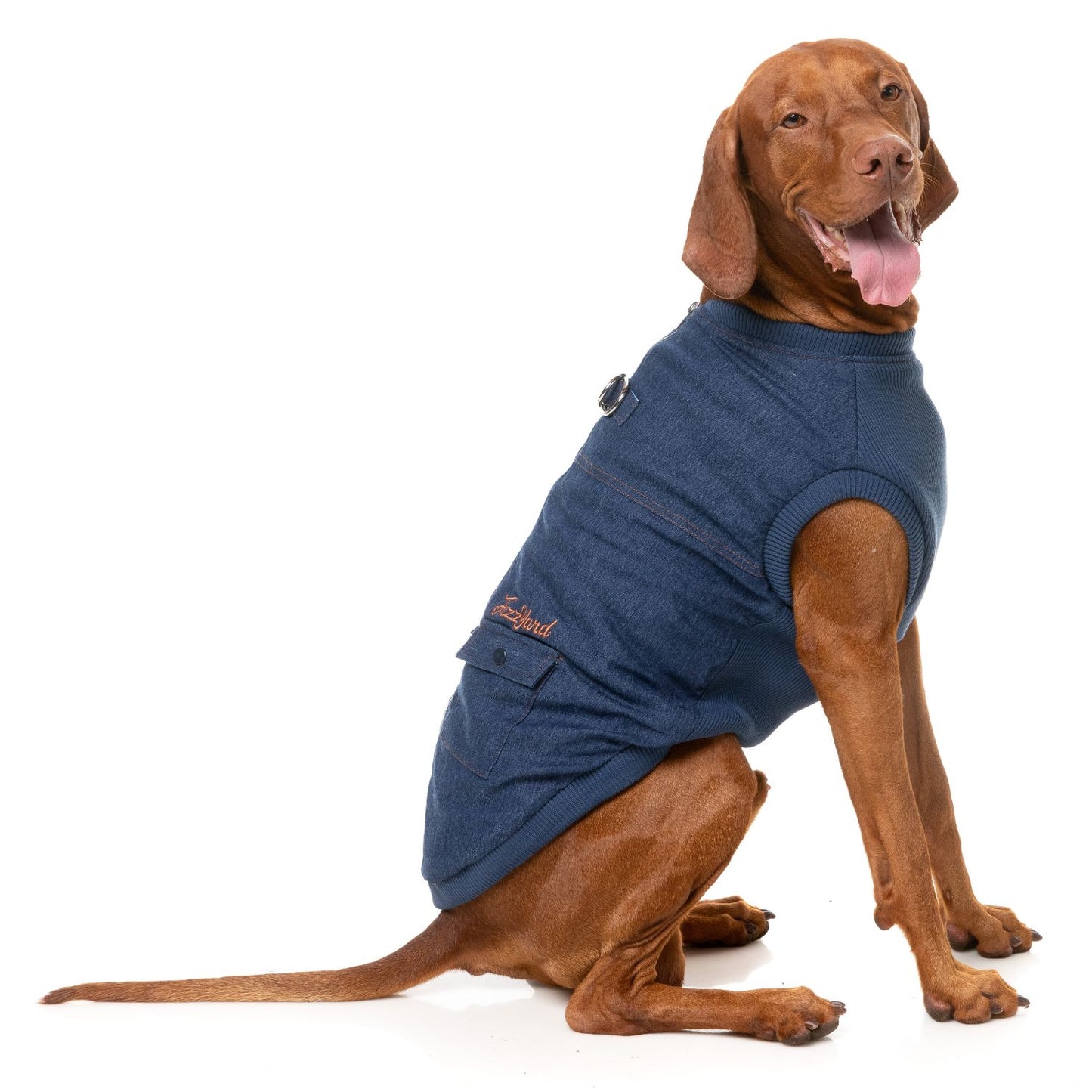 Kojima Blue Denim Dog Jacket