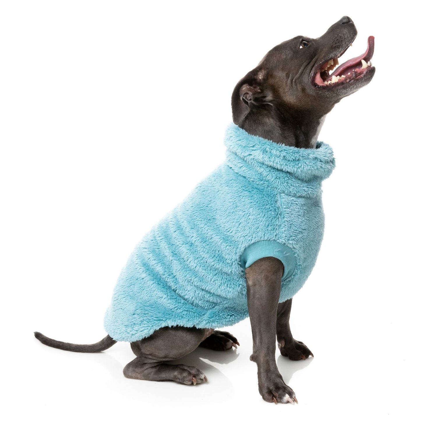 Turtle Teddy 24 Dog Sweater | Blue